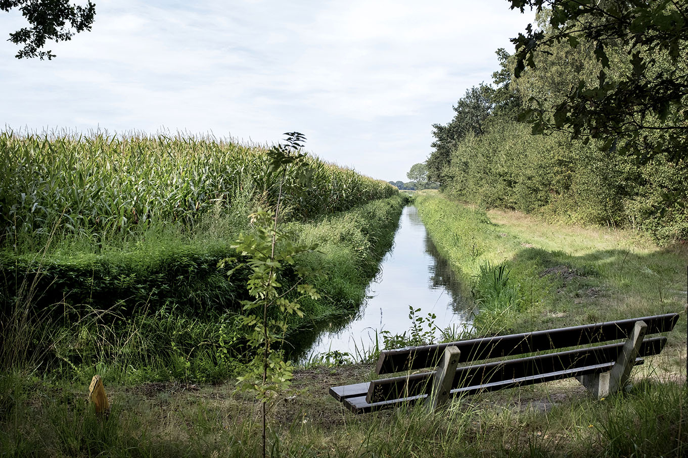 Schoon en natuurlijk water