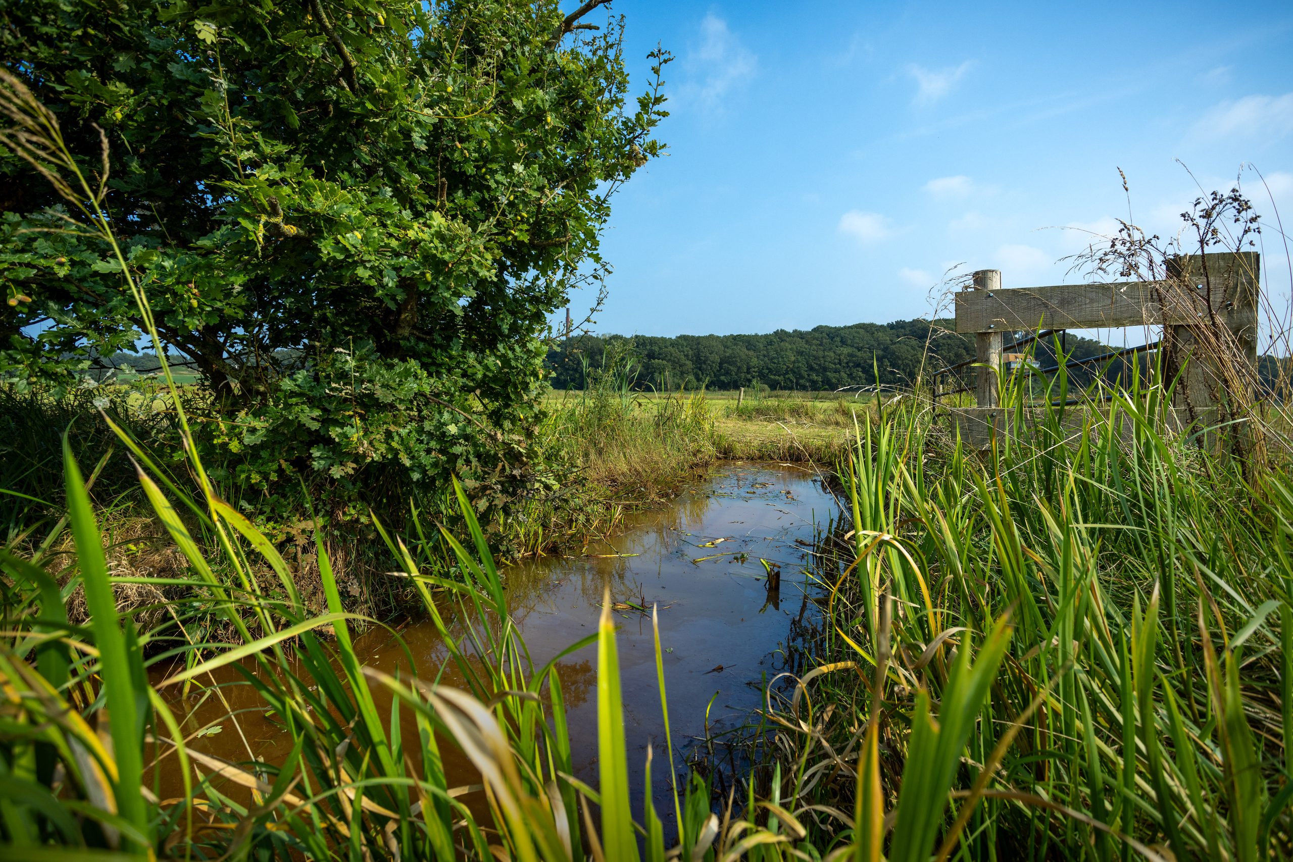 Schoon en natuurlijk water